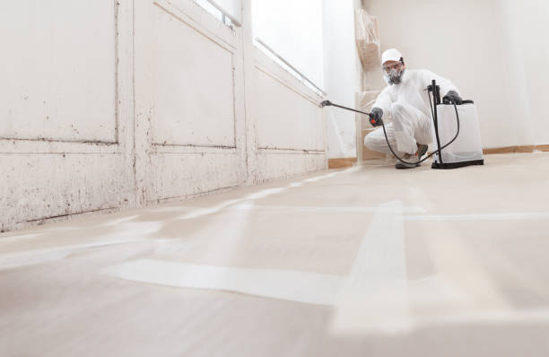 24/7 Emergency Mold Removal experts in Richmond, TX
